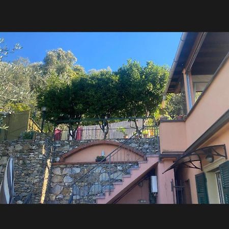 مبيت وإفطار بييفي ليجوري Il Gabbiano Di Pieve المظهر الخارجي الصورة
