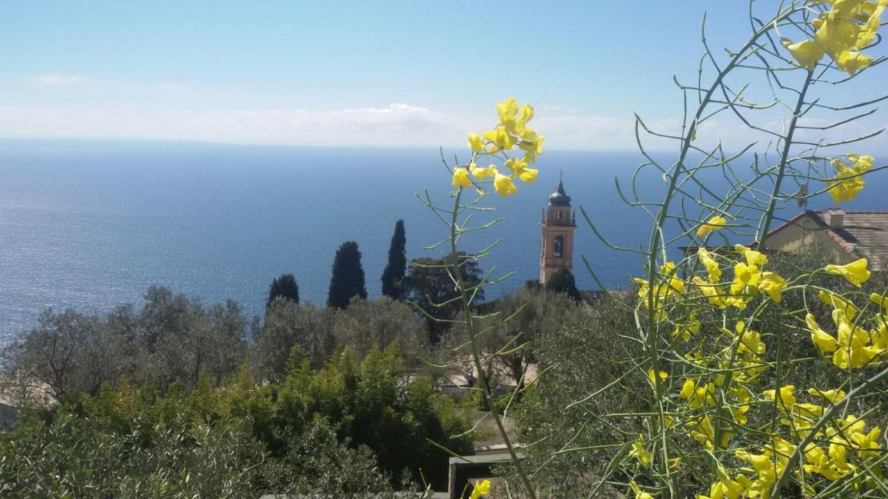 مبيت وإفطار بييفي ليجوري Il Gabbiano Di Pieve المظهر الخارجي الصورة