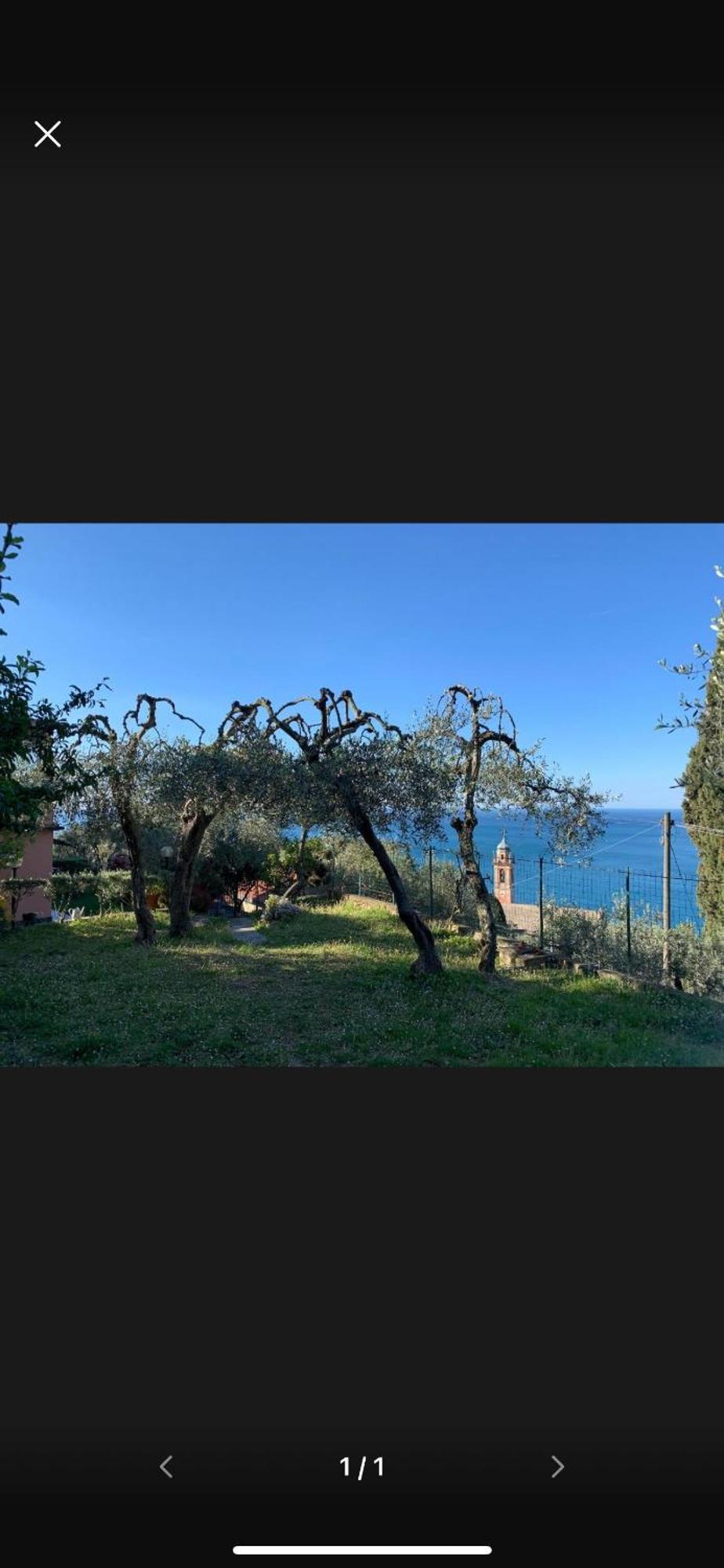 مبيت وإفطار بييفي ليجوري Il Gabbiano Di Pieve المظهر الخارجي الصورة